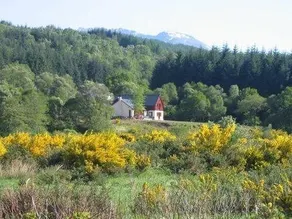 Garadh Buidhe - Image 2