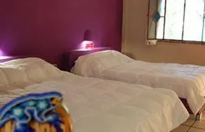 Copa - Image 3