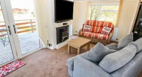 12 Bullrush - Image 5