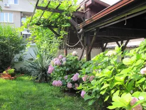 Guest House Milena - Image 5