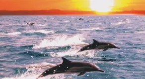 Apartamento El Sargento - Image 5