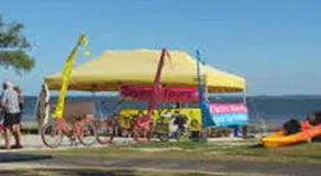 Bring The Family Dog And The Boat To Welsby Pde Bongaree - Image 5