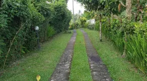 Balepanjang - Image 4