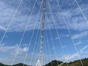 Nanshoufeng Yangshenggu - Image 5