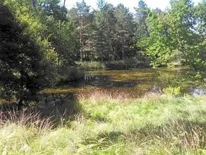Le Moulin Vieux - Image 5