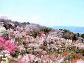 Koriyama Central Hotel - Image 5
