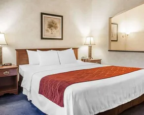 Comfort Inn Conference Center Tumwater - Image 3