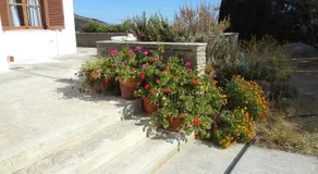 House in the grass land. - Image 4