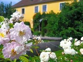 Marienschlössl - Image 4