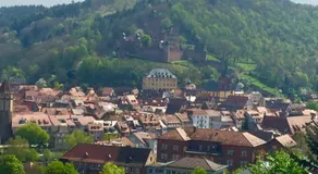Mainzimmer Business Appartment - Monteurwohnung mit Burgblick - Image 3
