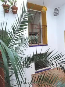 Casa Cita - Image 2