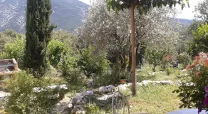 Aicardi - Image 5