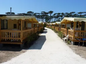 Holidays Viareggio - Toscana - Image 4