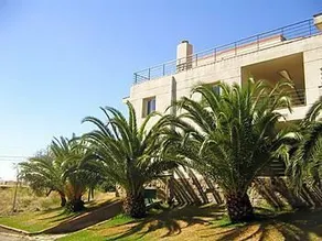 Don Miguel / Mas Oliva - Image 5
