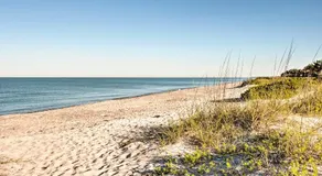 Haustierfreundliche Longboat Key Condo mit Blick auf den Golf! - Image 4