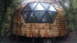 Domo del bosque - Image 4