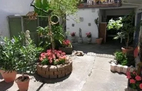 Pension-Garni Grünewald - Image 5
