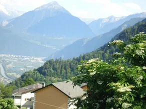 auberge de l'armailli - Image 4