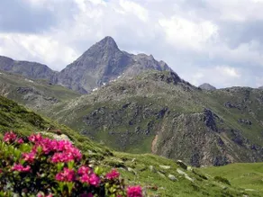 Pension Stoffler - Image 5