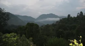 The Green Lodge - Image 5