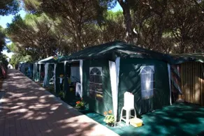 Camping Village Africa - Image 4