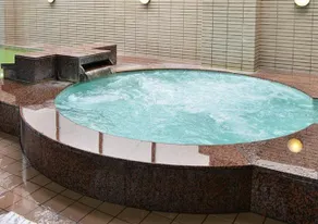 Akita Onsen Plaza - Image 2
