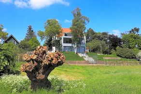B&B Weids - Image 2