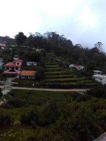 Vattakanal Homestay - Image 1
