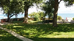 Blue Garden - Image 3