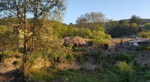 La petite châtaigne de Collobrières - Image 2
