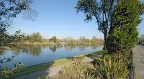River Den - Image 2