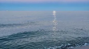 Delfino Est - Image 4