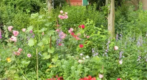 Haus Ebeling - Image 2