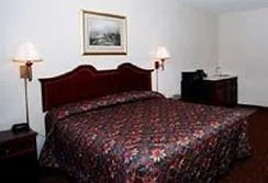 Duke Of York - Image 2