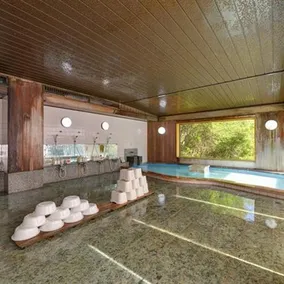 Meisho Tenryukyo Onsen Ryukyotei - Image 5