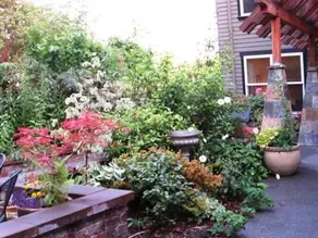 Finch Cottage - Image 5