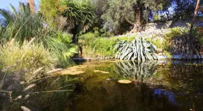 Fiorella - Image 5