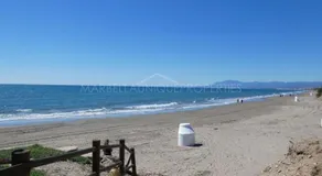 Estrelicia - Image 3