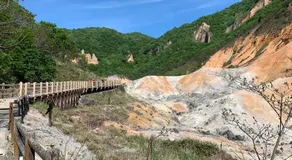 POKKE - Image 3