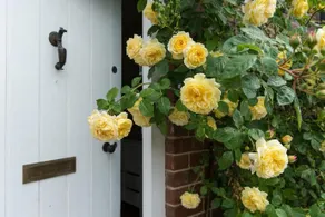 Moreton Hall Farm - Image 2