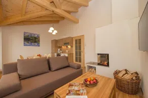Villa Mandl mit Garten Sauna Pool - Image 4