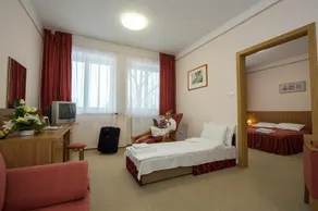 Az Alföld Gyöngye - Image 4