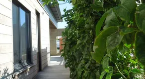 Beach Side Garden Apartment - Image 2