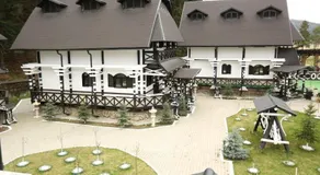 Complex Lions Bucovina - Image 3