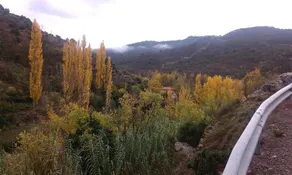 Albergue Molino de Olba - Image 5