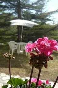 Fonte Dell' Aria - Image 2