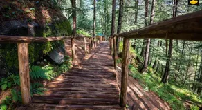 Livingstone Ojuven Treehouses - Image 3