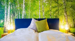 Studio 33 "Birkenwald" - Image 4