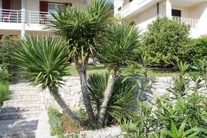 Apartments Vila Marica - Image 5