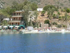 Beyaz Guvercin - Image 4